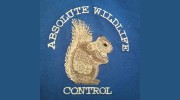 Absolute Wildlife Control